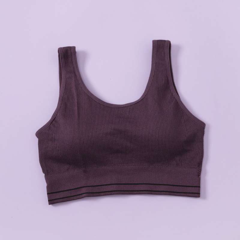 Jual Felancy Sports Bra 070 30031 Purple Xl Di Seller Aftabil Store Linggajaya Kota Tasikmalaya Blibli