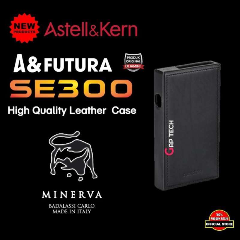 Astell&Kern A&futura SE300 Case+microSD他 美しい