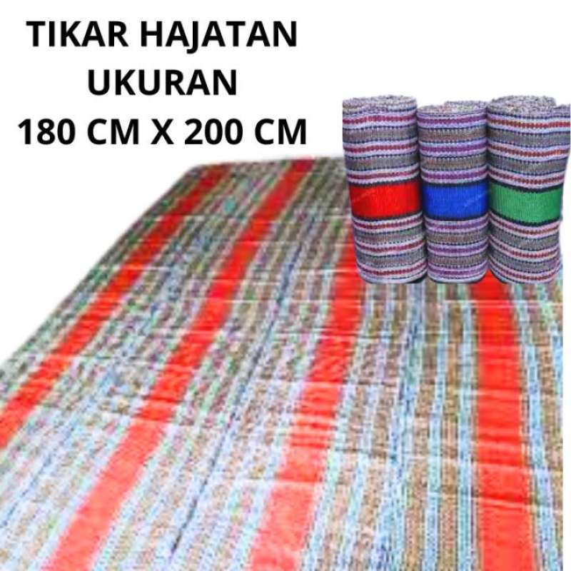 Olomon uchun Sasha Grey video