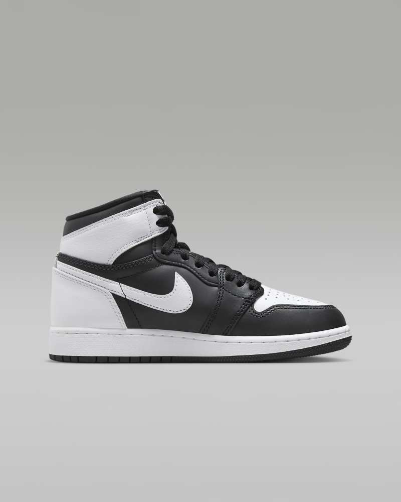 Nike AIR JORDAN RETRO HIGH OG GS [FD1437-010]