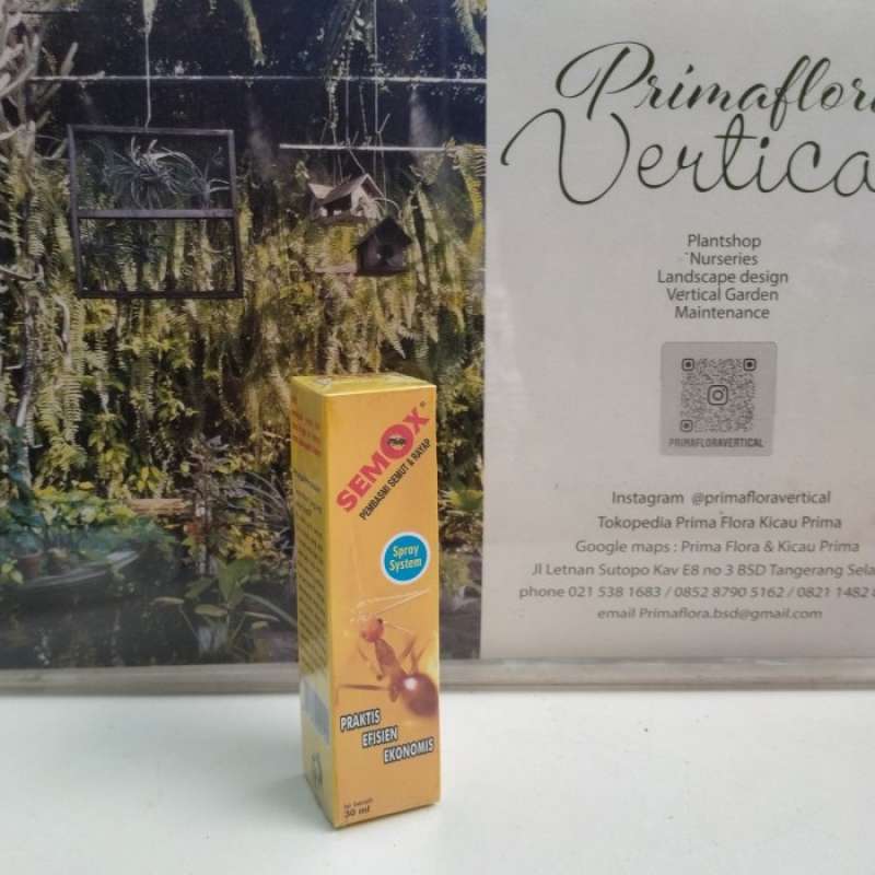 Jual Semox Original Murah - Harga Diskon April 2024 | Blibli.com