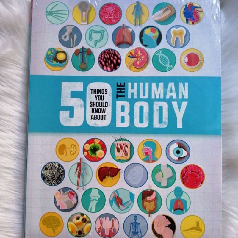 Promo The Human Body 50 Things You Should Know Diskon 23% Di Seller ...