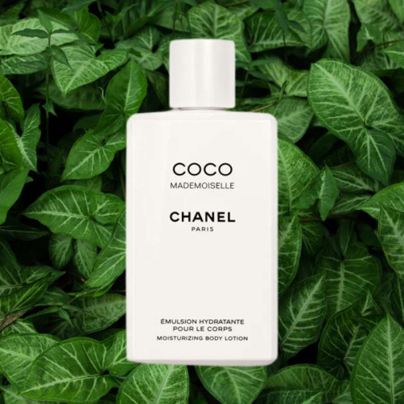 Coco chanel parfum harga best sale