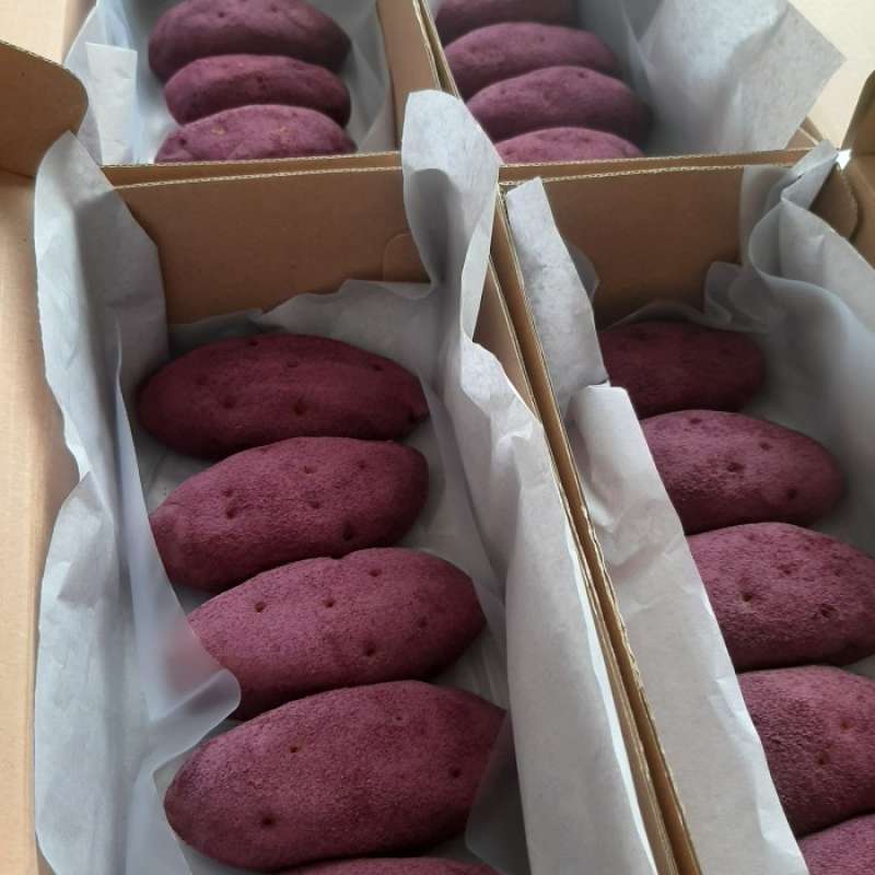 Promo Goguma Ppang Classic Cheese / Korea Sweet Potato Bread Diskon 9 Di Seller Alfesa Store