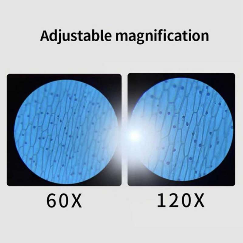 Jual Mikroskop Mini Portable Microscope Pocket 60x - 120x For Kids ...