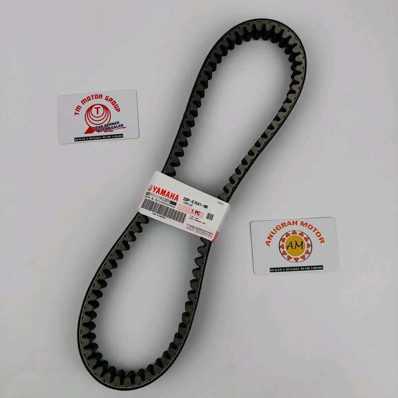 ВандерСекс бұл