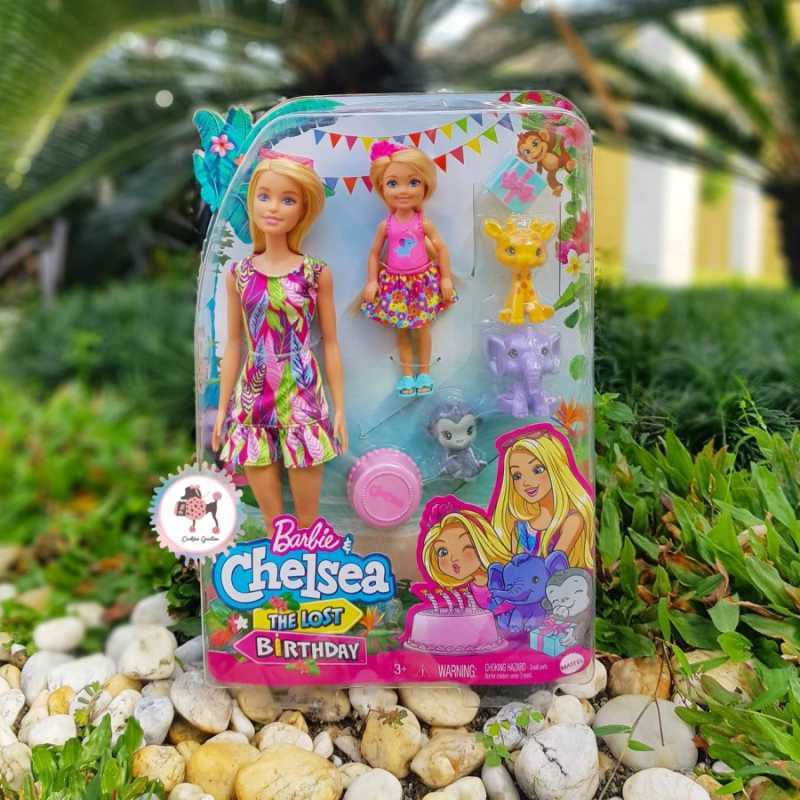 Barbie Chelsea The Lost Birthday Barbie And Chelsea The Lost