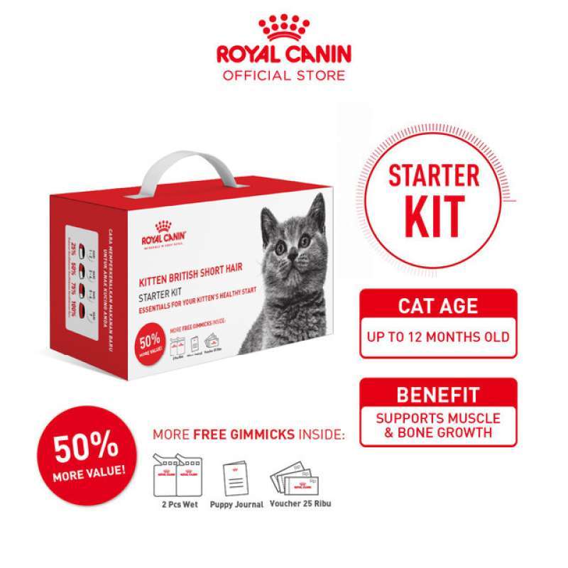 Royal Canin Kitten Bentuk Kotak Jual Royal Canin 400 Gr Makanan
