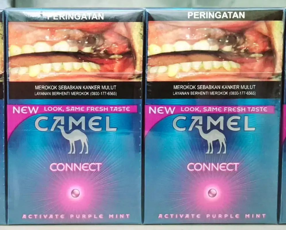 Variant Roko Camel Roko Camel Ungu 1 Slop 🔥 Harga Grosir Mei 2026