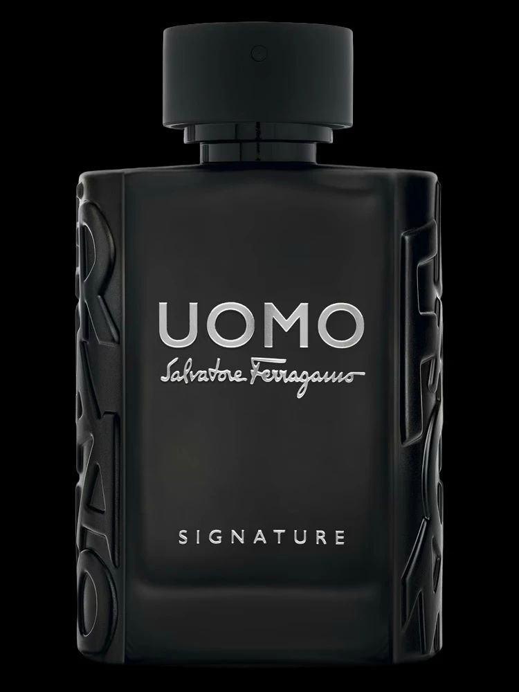 salvatore ferragamo uomo uomo men's fragrance
