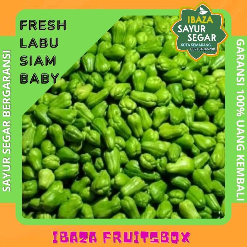 Labu Clicker Labu Siam Baby 1 Kg Gratis Ongkir 🔥 Harga Murah Oktober 2026