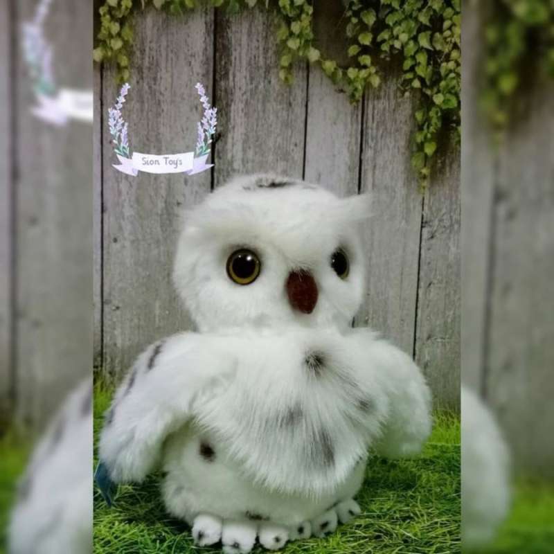 Jual Burung Hantu Online: Antara Peluang dan Ancaman Konservasi