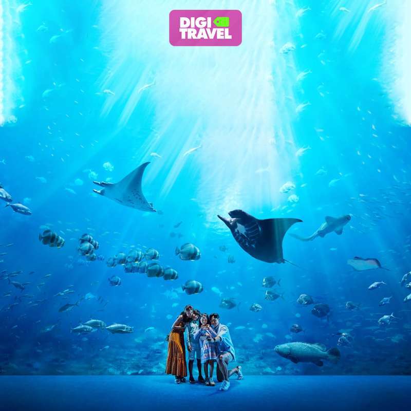 Promo Tiket Masuk Sea Aquarium Singapore Tiket Sea Aquarium Singapore