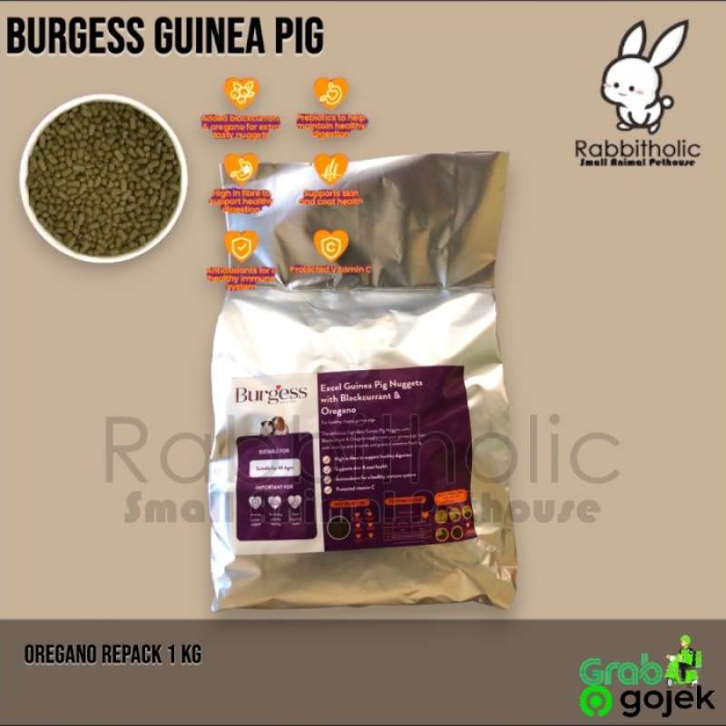 Illustration of Oregano Guinea Pig Recipe Low Sugar
