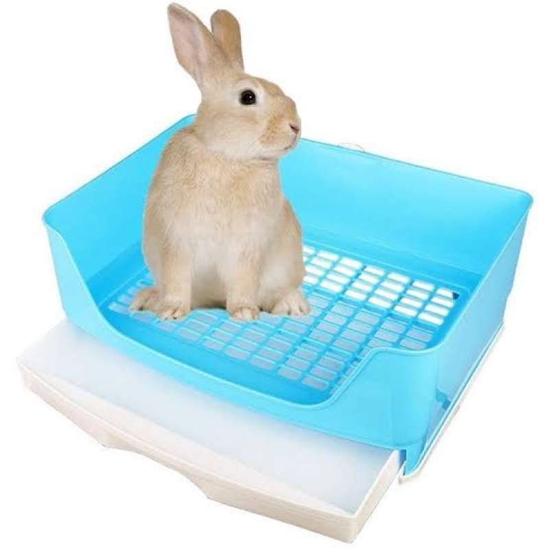Litter box kelinci sales