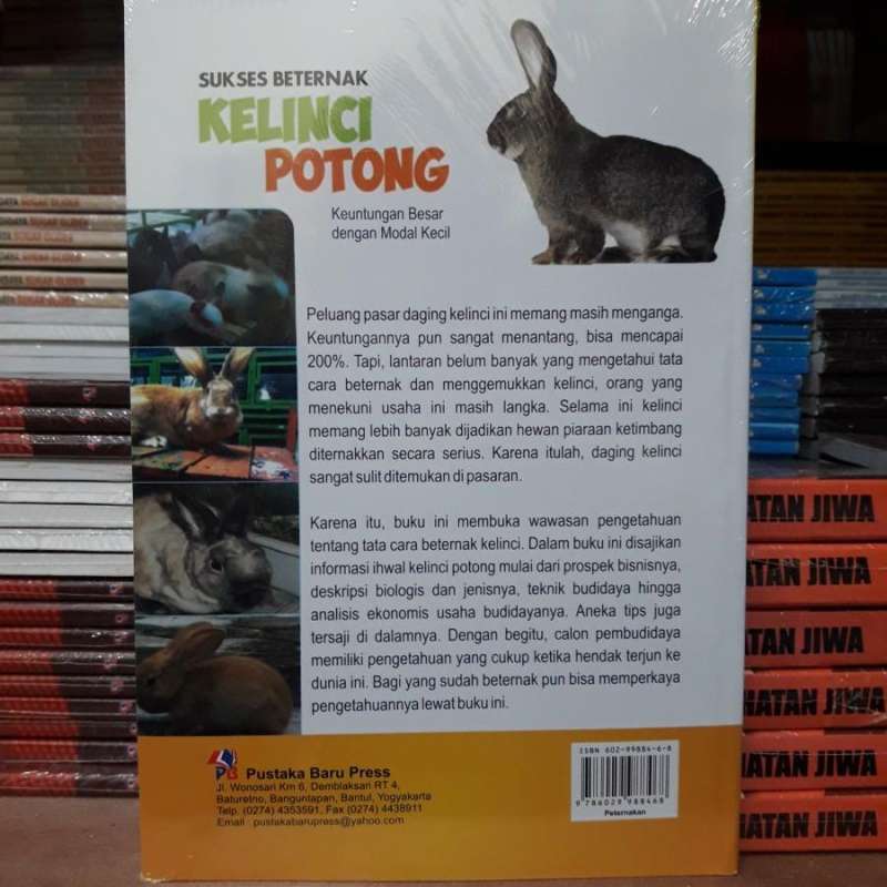 Perawatan Kesehatan Kelinci