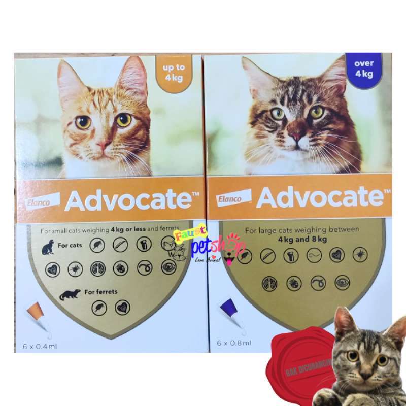 Elanco Advocate For Small Cats Elanco Advocate Cat Obat Kutu Obat