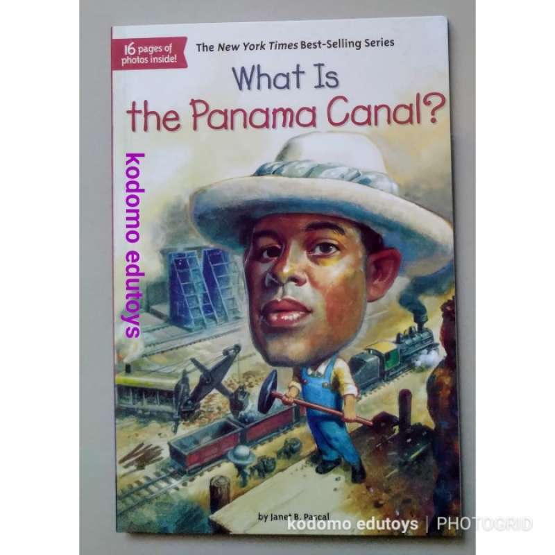 Jual The New York Times Bestselling Series What Is The Panama Canal