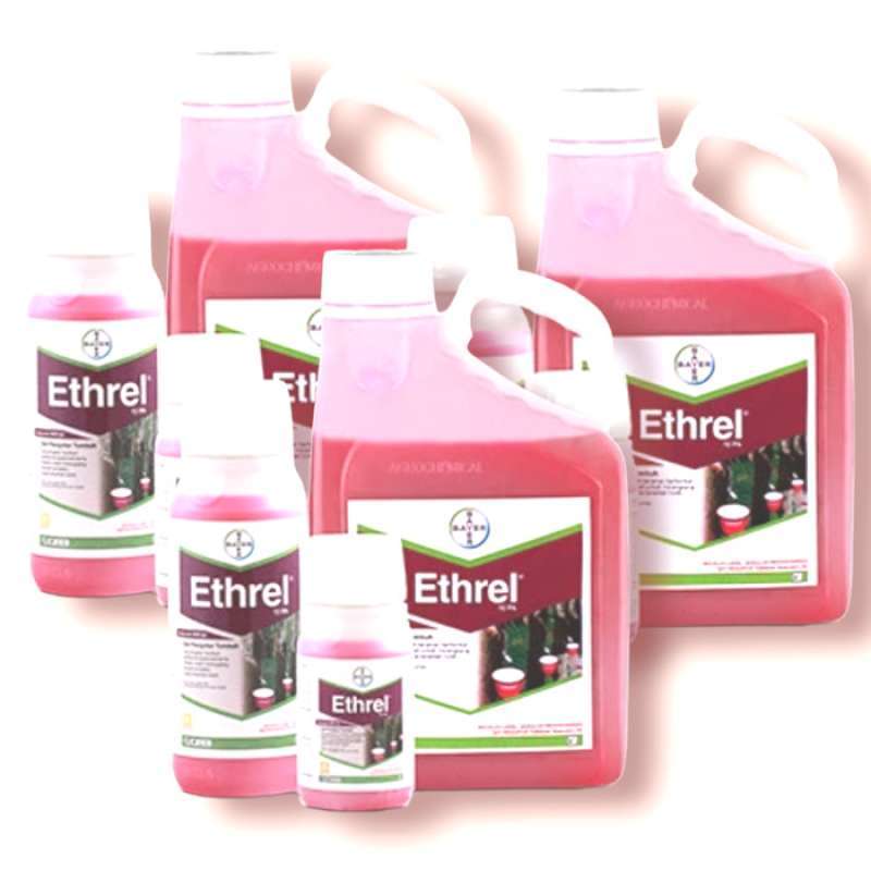 Jual Pengatur Tumbuh Tanaman Karet Zpt Ethrel 10 Pa Kemasan 5 Liter Di ...