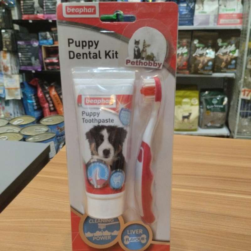 Beaphar puppy dental kit sales