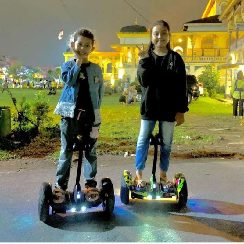 GLDYTIMES Handlebar for Segway Ninebot S Smart/mini PRO/mini LITE Self-balance Scooter Hoverboard Adjustable Handle bar Stand Release Knee Pressure 3-in-1 Self Balance hoverboard bar (Handlebar Only
