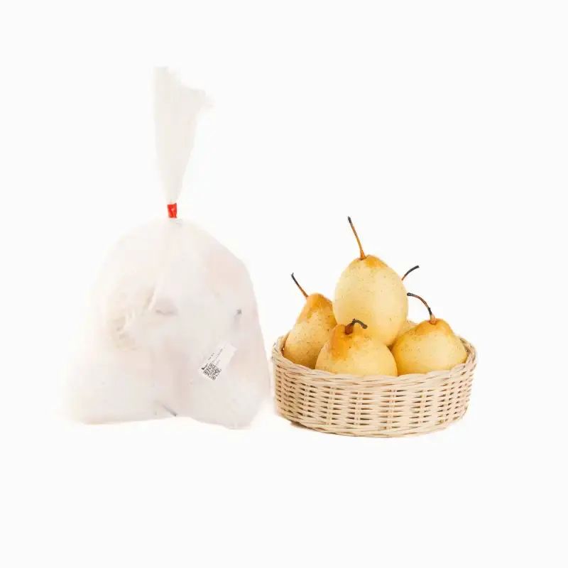 Pear Yalie Terdekat 🔥 - Harga Termurah & Terbaru Mei 2026