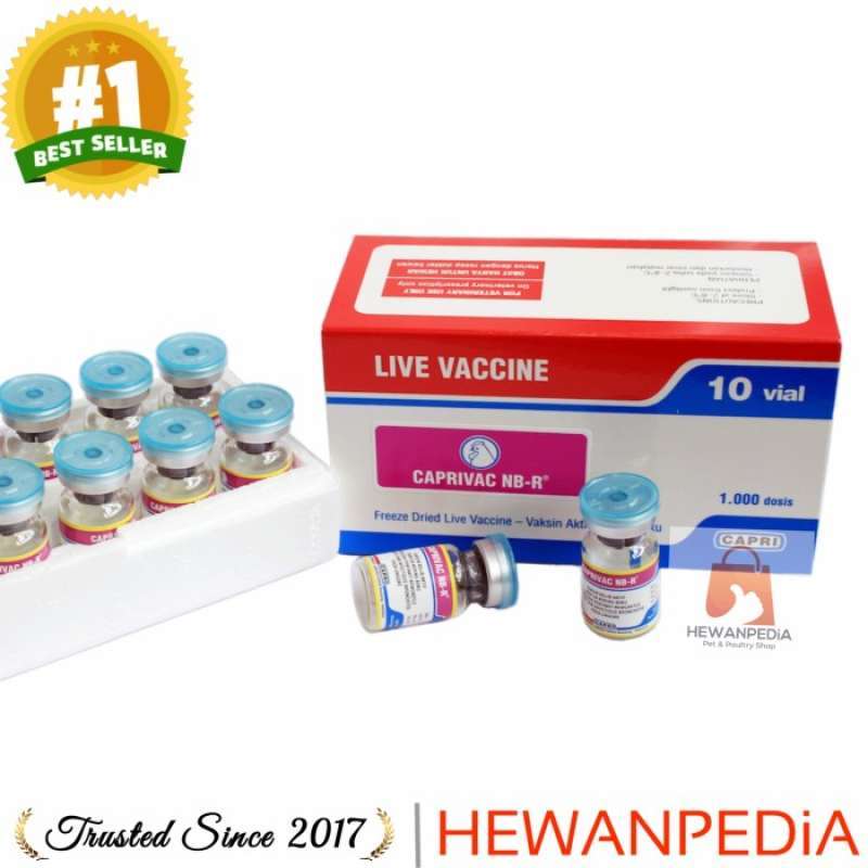 Jual Freezer Aqua 1000 Original, Murah & Diskon Juli 2024 | Blibli