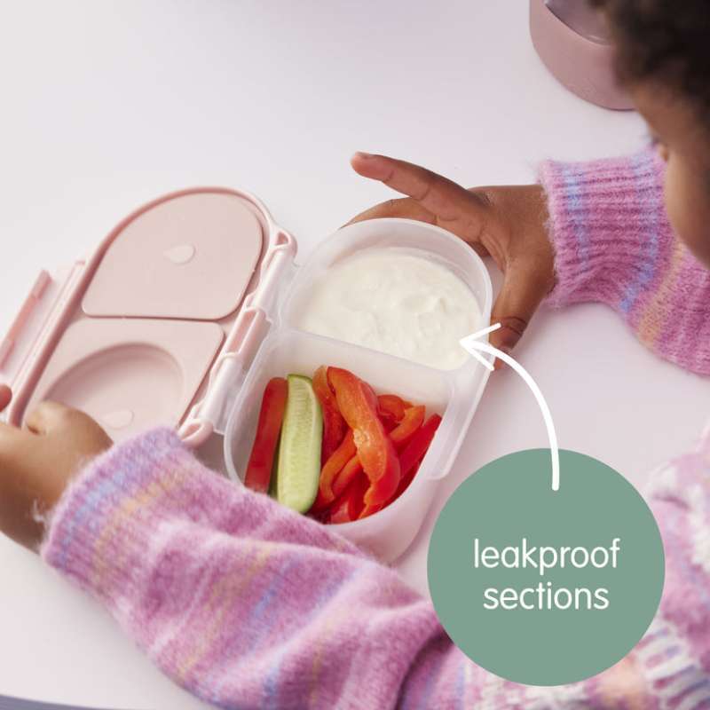 Jual B. Box Snack Box - Chill Out Di Seller A To Z Family Store ...