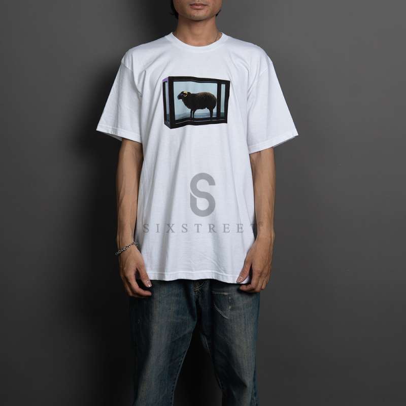 Supreme シュプリーム 2025SS Damien Hirst tee ダミアンハーストT