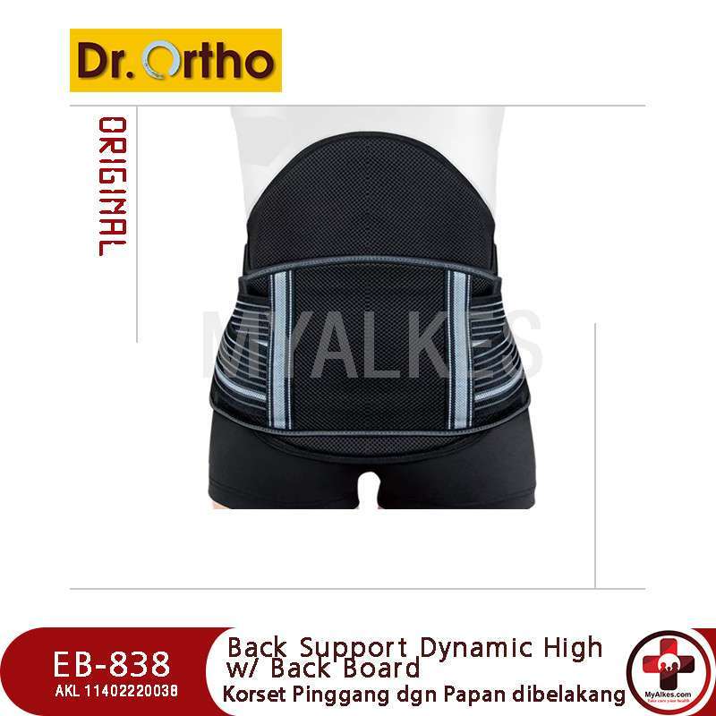 Jual Dynamic Back Support With Back Board Dr Ortho Eb-838 Di Seller ...