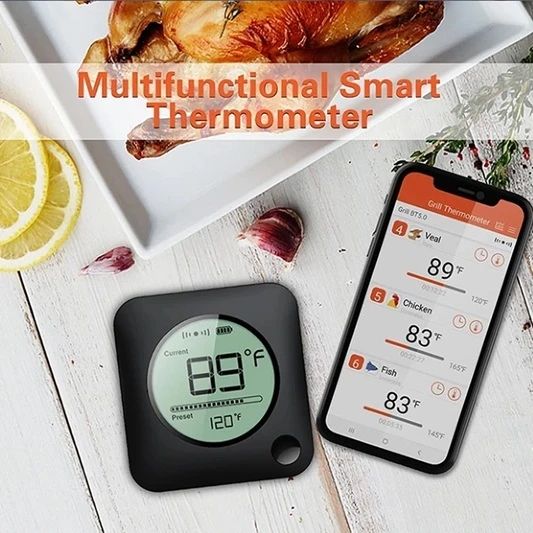 Jual Multifunctional Smart Thermometer Termometer Makanan Digital ...