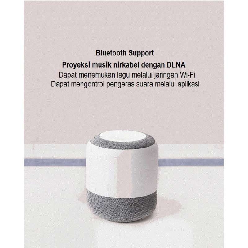 Jual Xiao Du Speaker New Version Kecil Ai 1s Infrared Remote Control Di ...
