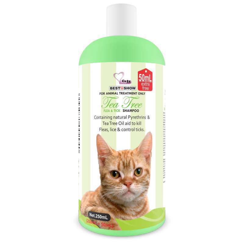 Flea Tick Shampoo What's The Best Flea Shampoo Promo Bis Flea