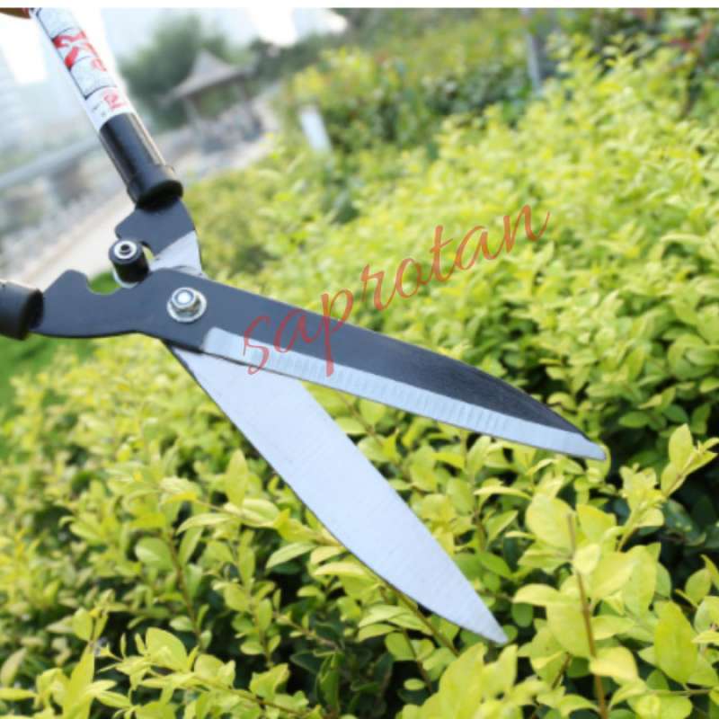 Promo Gunting pangkas rumput taman Tokunosuke Diskon 25% di Seller Aman ...