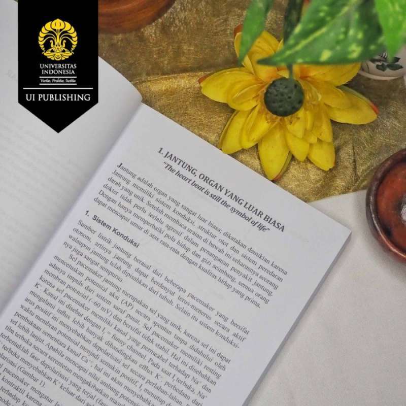 Solusinya Jual Mengenal Penyakit Kar & Solusinya Untuk Dokter Umum Di Seller ...
