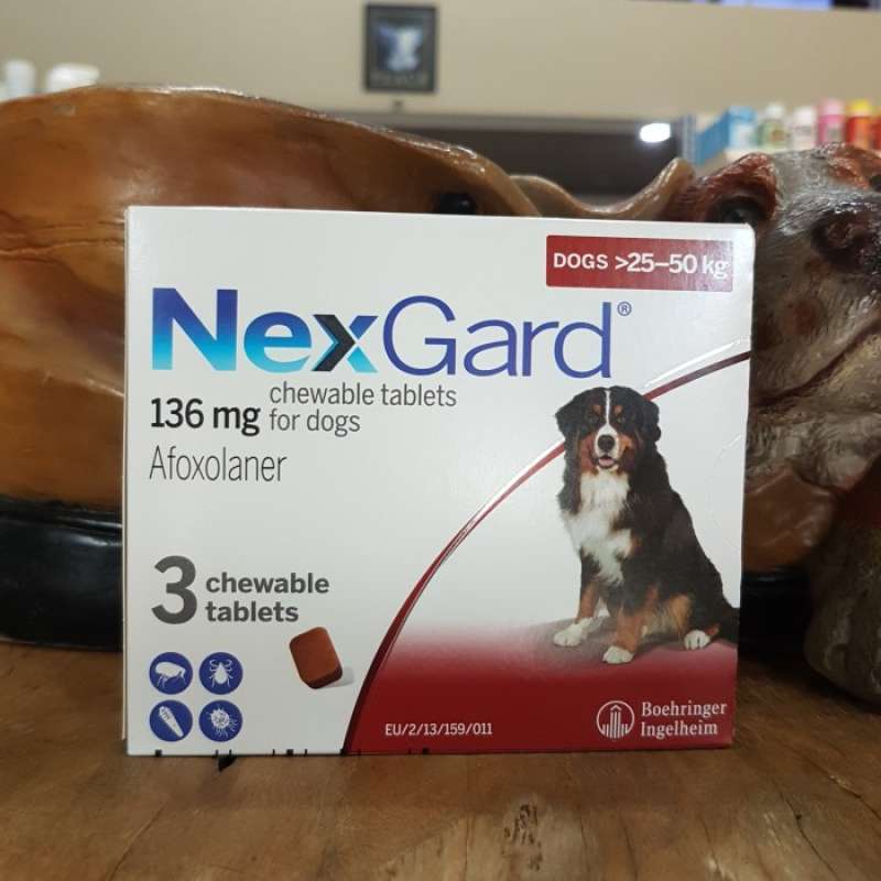 Promo NexGard XL (25-50kg) Box Diskon 23% di Seller Haura - Cilandak ...