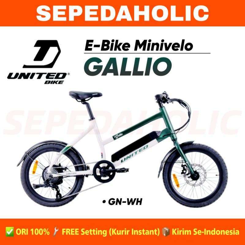 Minivelo united new arrivals