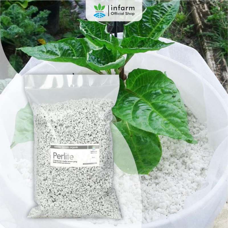 Perlite ORAGARDEN - 1 Litre, Substrat Pour Horticulture, Améliore Drainage Et Aération