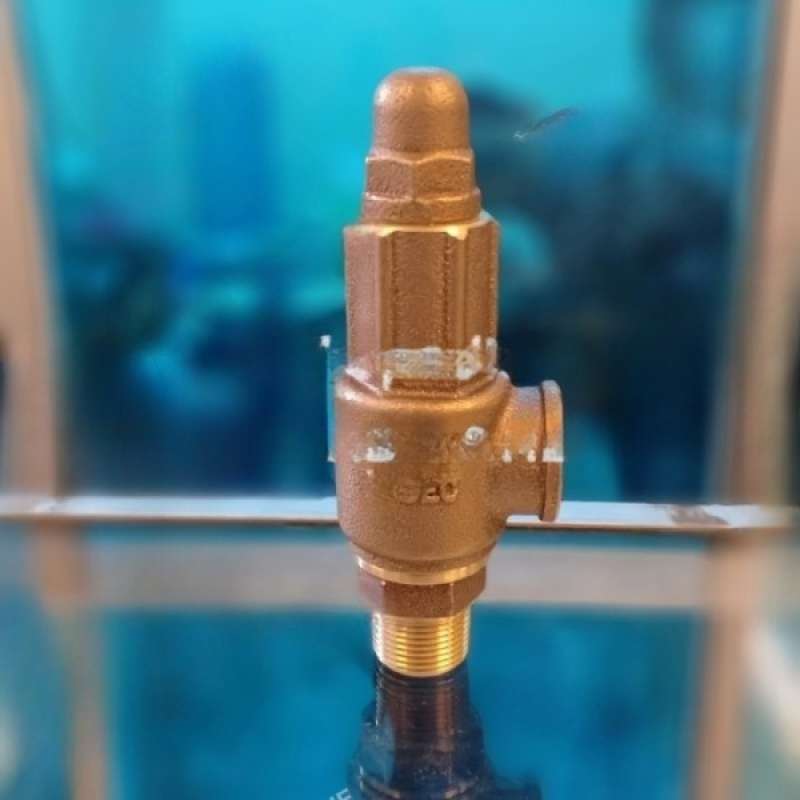 Clean Burn 32021 Waste Oil Heater Check Valve 3/4 FNPT