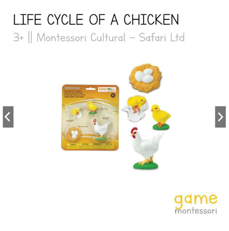 Jual Safari Ltd Life Cycle of a Chicken di Seller GAME Montessori ...
