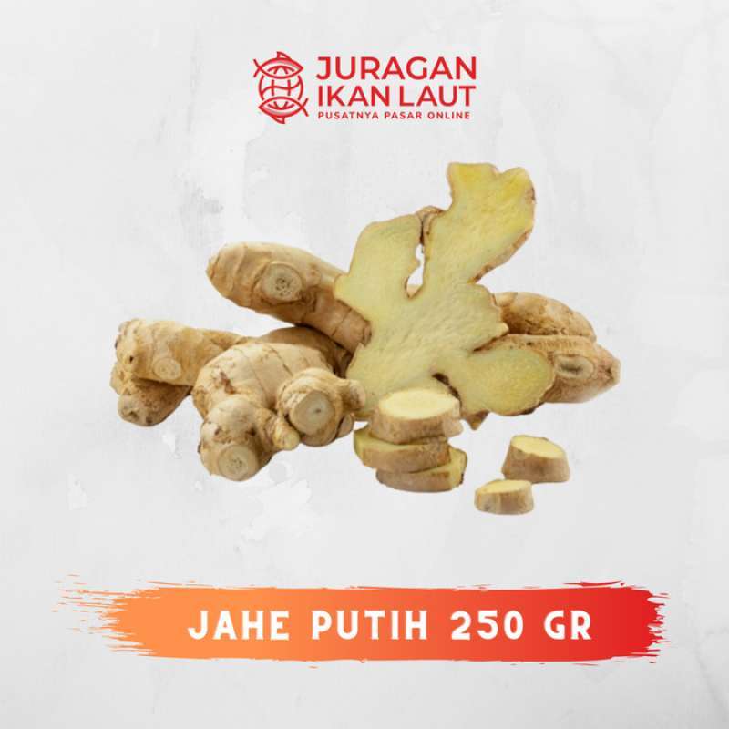 Jual Jahe Putih Segar Berkualitas - 250 Gram Di Seller Juragan Ikan ...
