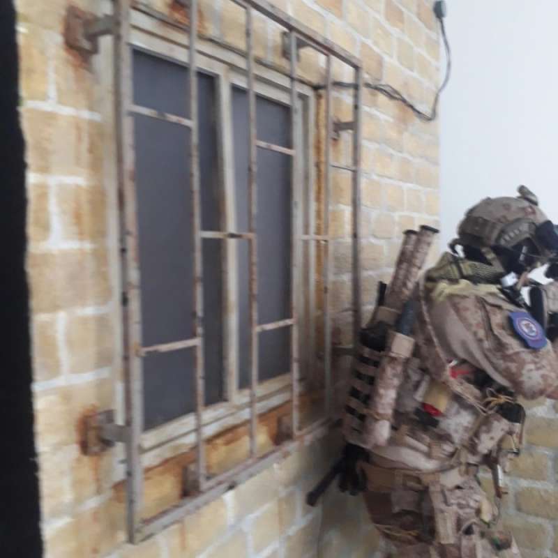 Promo pree order 1/6 scale diorama damtoys #soldier story# ...