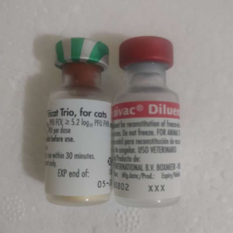 Promo Vaksin Kucing Nobivac Tricat Trio +diluent +spuit 1ml + Ice Box ...