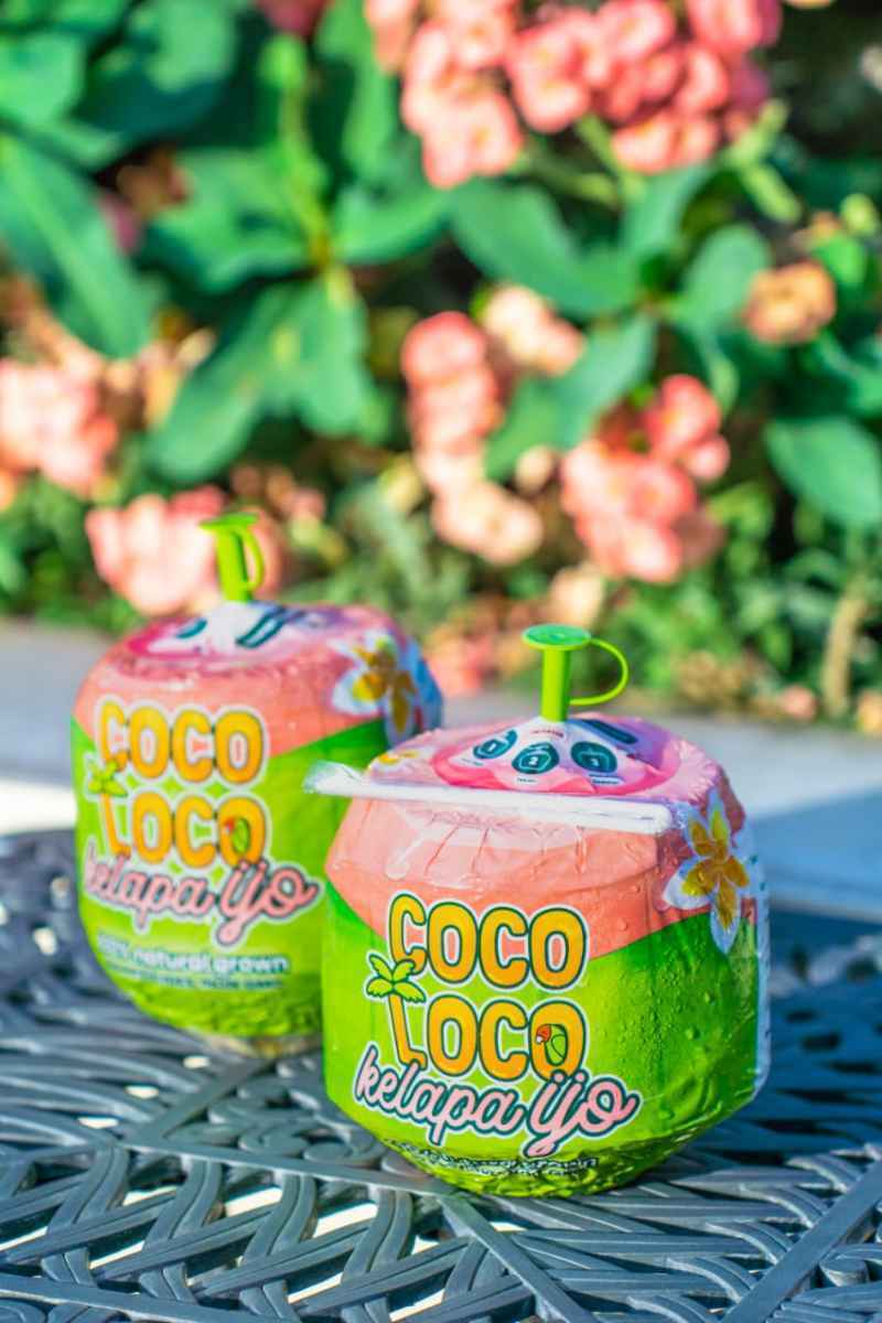 Jual Coco Loco Green Kelapa Muda Hijau 1 Pcs Di Seller Fresh By