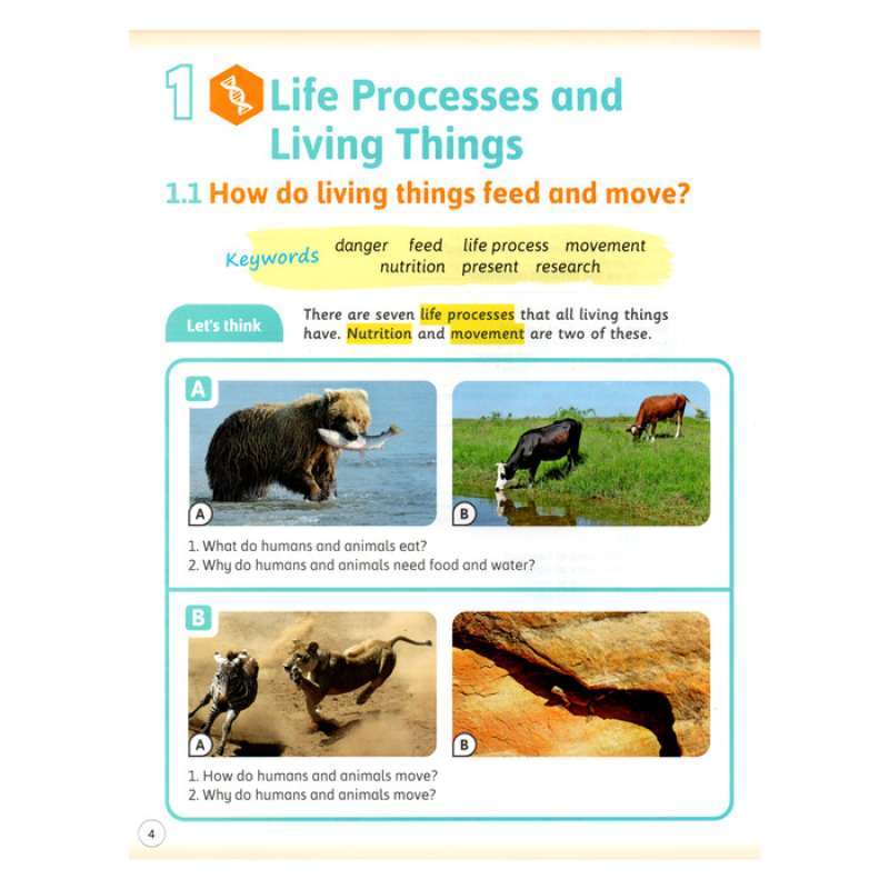 Jual International Primary Science 3 - Student's Book (for Young ...