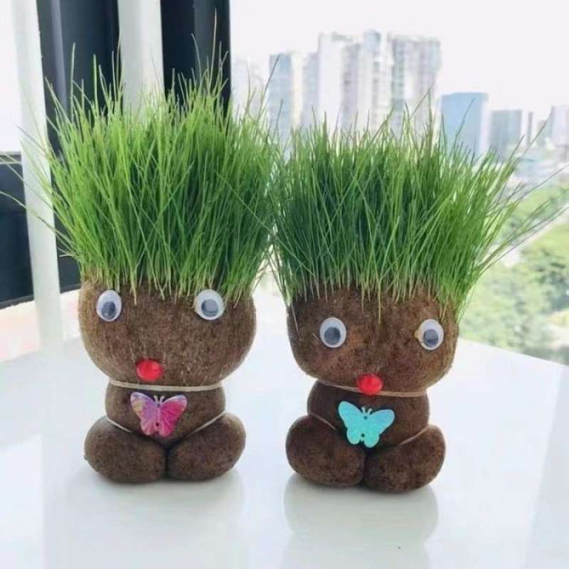 Jual Rumput Boneka Original Murah - Harga Diskon Maret 2024 | Blibli.com