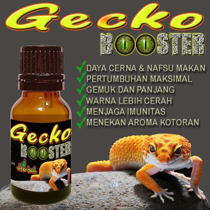 Leopard gecko multivitamin shop
