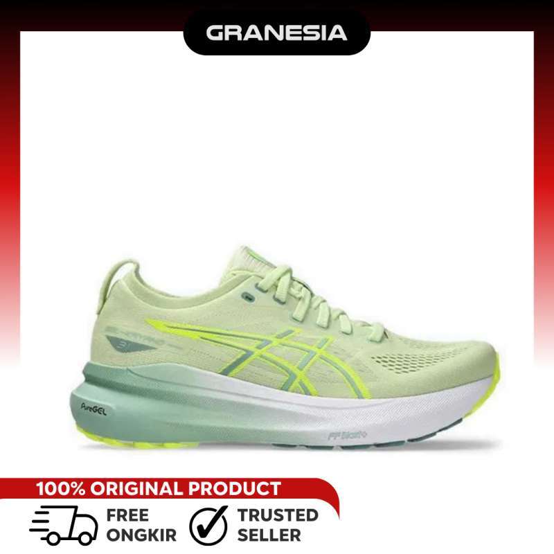 Tishli dastagida mushukingiz bilan