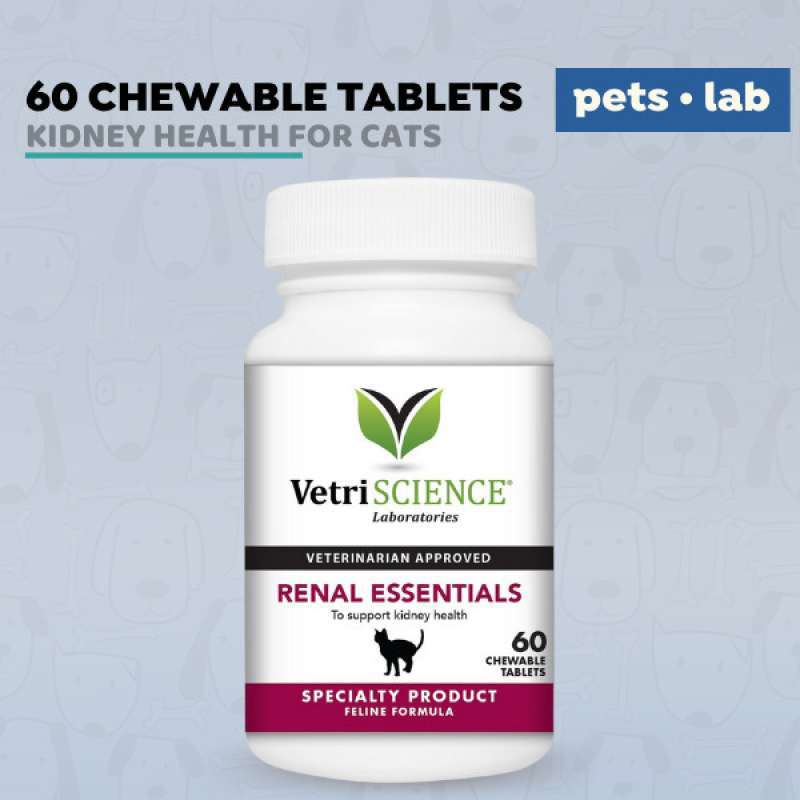 Promo VetriScience Renal Essentials Cats Kidney Supplement Ginjal
