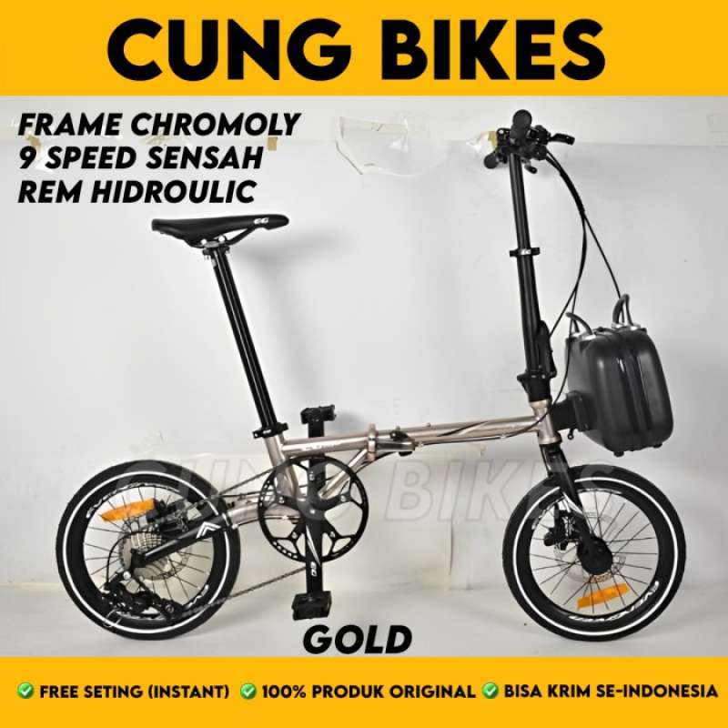 Seli chromoly 2025